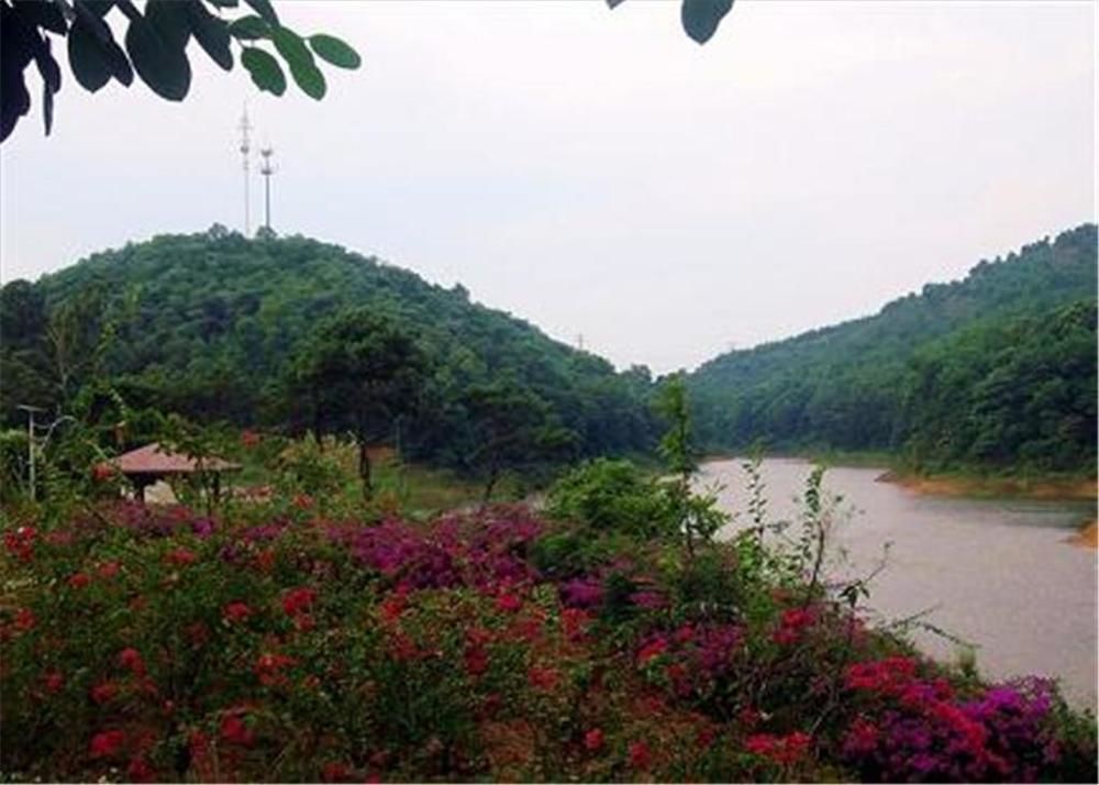 Phoenix Hotel Wuyi Ťiang-men Exteriér fotografie